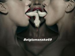 belgiumsnake69