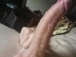 punibeer