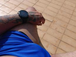grande_urso