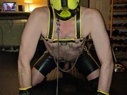 Latexdog