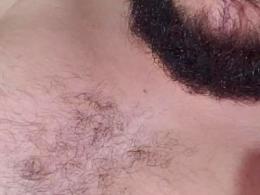Marcelosbear